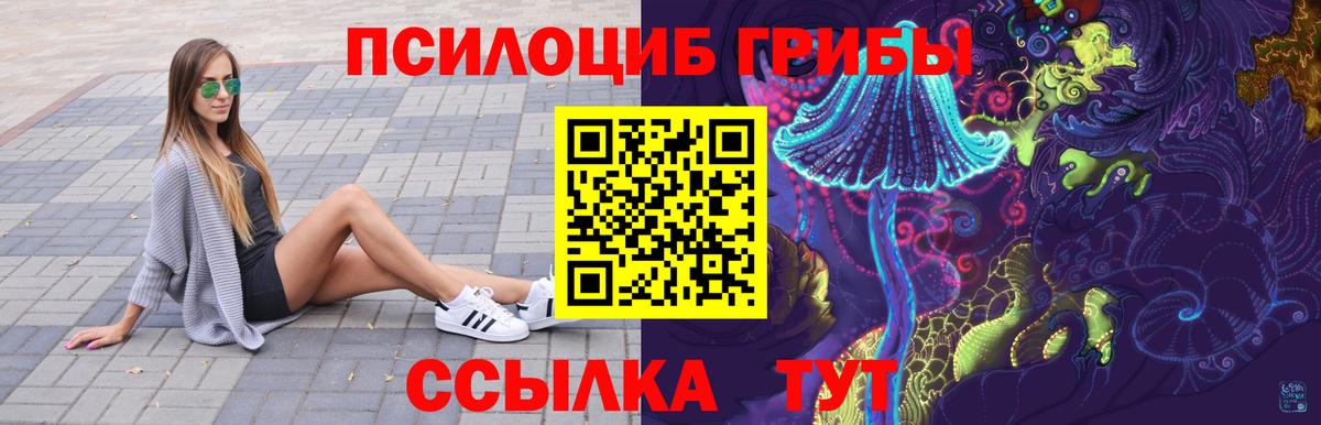 Псилоцибиновые грибы GOLDEN TEACHER Удомля