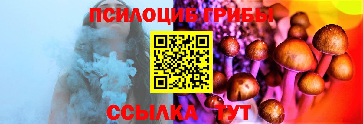 Галлюциногенные грибы прущие грибы  Вход с VPN  Удомля 
